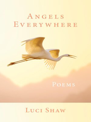 cover image of Angels Everywhere